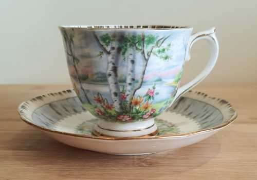 Royal Albert Silver Birch Duo - c.30-60s - Discontinued -VGC