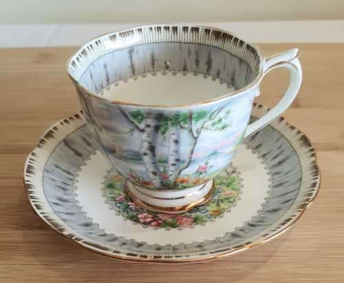 Royal Albert Silver Birch Duo - c.30-60s - Discontinued -VGC