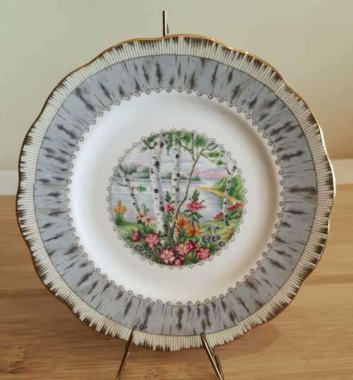 Royal Albert Silver Birch Cake/Side Plate - Discontinued -VGC