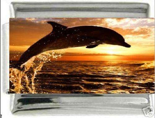 Italian Charms & Bracelets - Enamel - DOLPHIN WITH SUNRISE