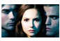 Italian Charms - Fits Nomination - Enamel - VAMPIRE DIARIES ALL THREE 5