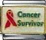 Italian Charms - Fits Nomination - Enamel - CANCER SURVIVOR