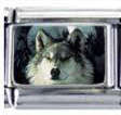 Italian Charms - Fits Nomination - Enamel - WOLF 7