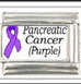 Italian Charms - Fits Nomination - Ribbons - PANCREATIC CANCER