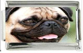 Italian Charms 9mm - Fits Nomination - Enamel - PUG