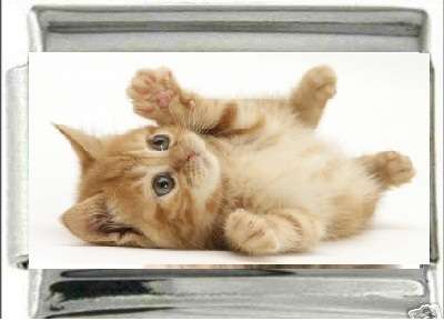 Italian Charms 9mm - Fits Nomination - Enamel - PLAYFUL KITTEN