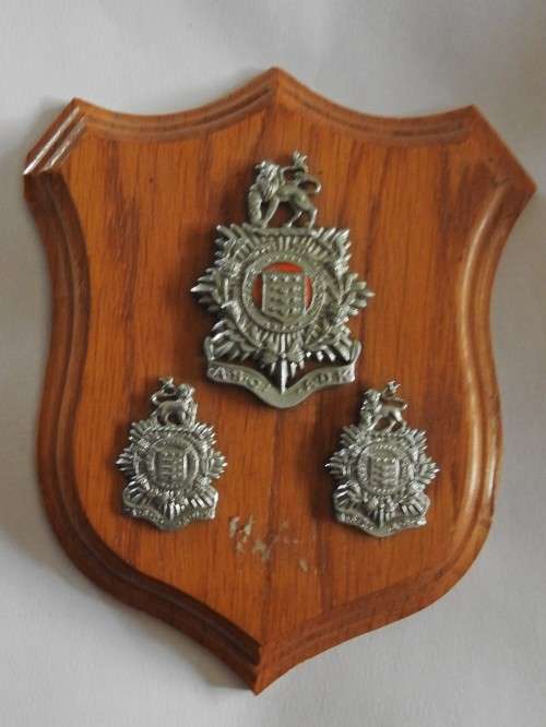 SA Administrative Services Corps (Upto 1980) War in Angola Plaque