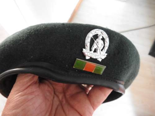 Danie Theron combat school beret, bar and badge