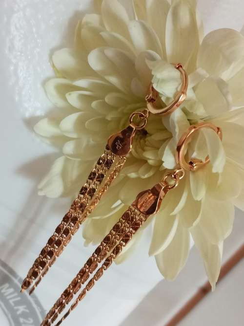 ENCHANTING GOLDEN HOOP EARRINGS