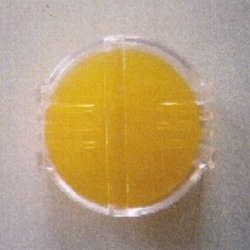 Large Bees Wax 25g