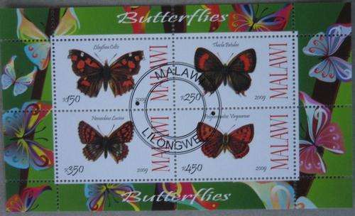 1x m/s malawi butterflies 2009