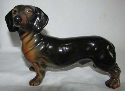 GORGEOUS BLACK AND TAN DACHSHUND