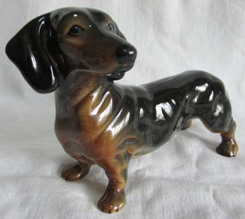 GORGEOUS BLACK AND TAN DACHSHUND