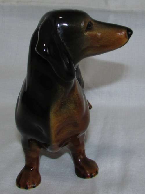 GORGEOUS BLACK AND TAN DACHSHUND