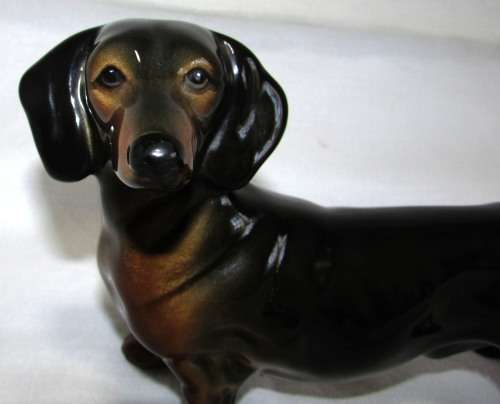 GORGEOUS BLACK AND TAN DACHSHUND