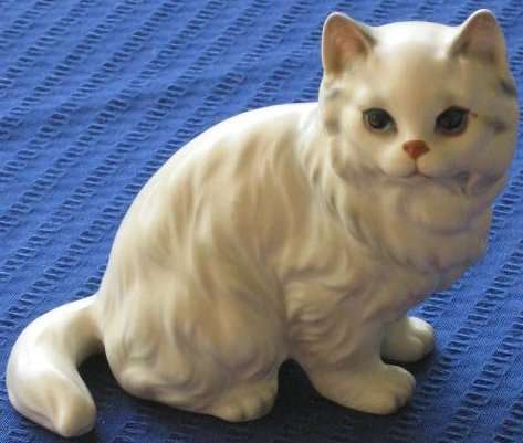 WHITE CAT
