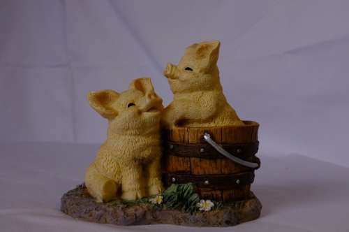 Truffles No14384 Collectible Pigs playing in a bucket, Figurine