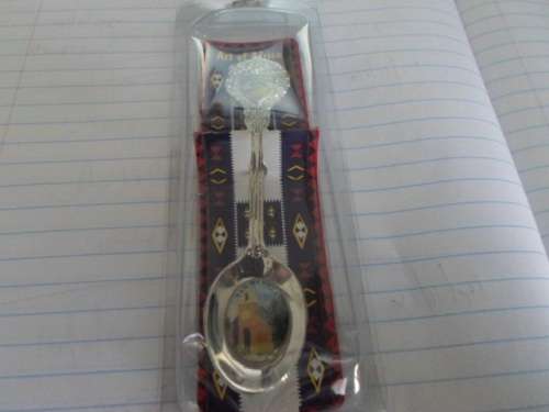 SOUVENIR SPOON VAN REENEN SEE PICS!!!!!