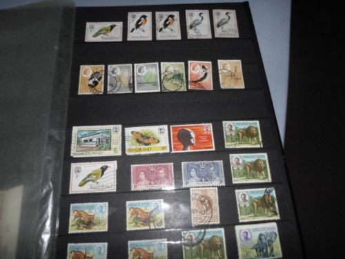 LARGE ALBUM RHODESIA AND SA HOMELAND STAMPS SEE PICS!!!!