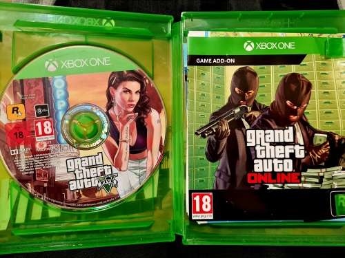 Grand Theft Auto V (5)