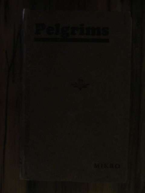 Mikro - Pelgrims