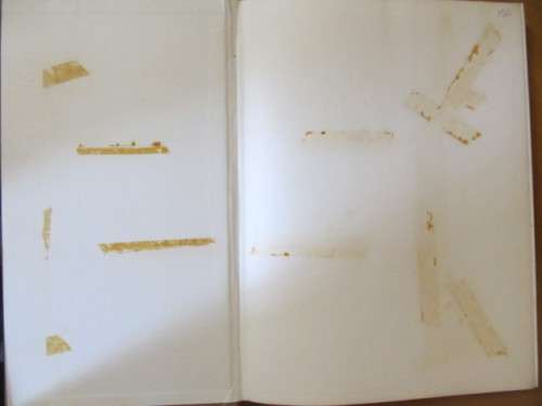 Die Groot Tuinboek oor inheemse Struike en Bome  -  Una vd Spuy