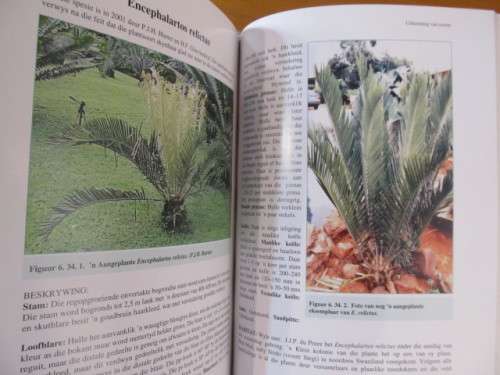 Broodbome -  Nat Grobbelaar - Geteken deur Grobbelaar - postage included