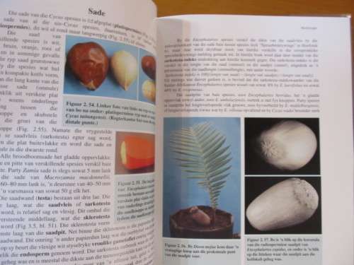 Broodbome -  Nat Grobbelaar - Geteken deur Grobbelaar - postage included