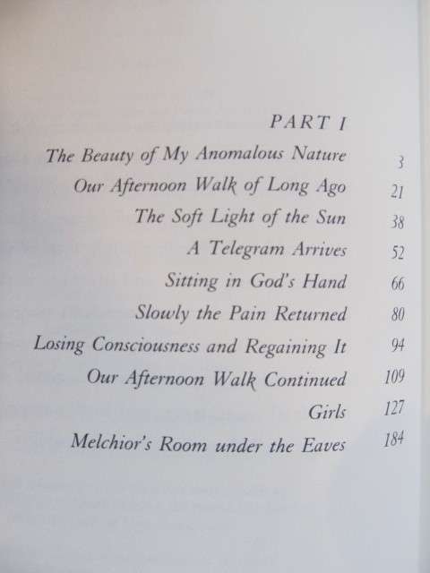 Peter Nadas  -  a book of memories