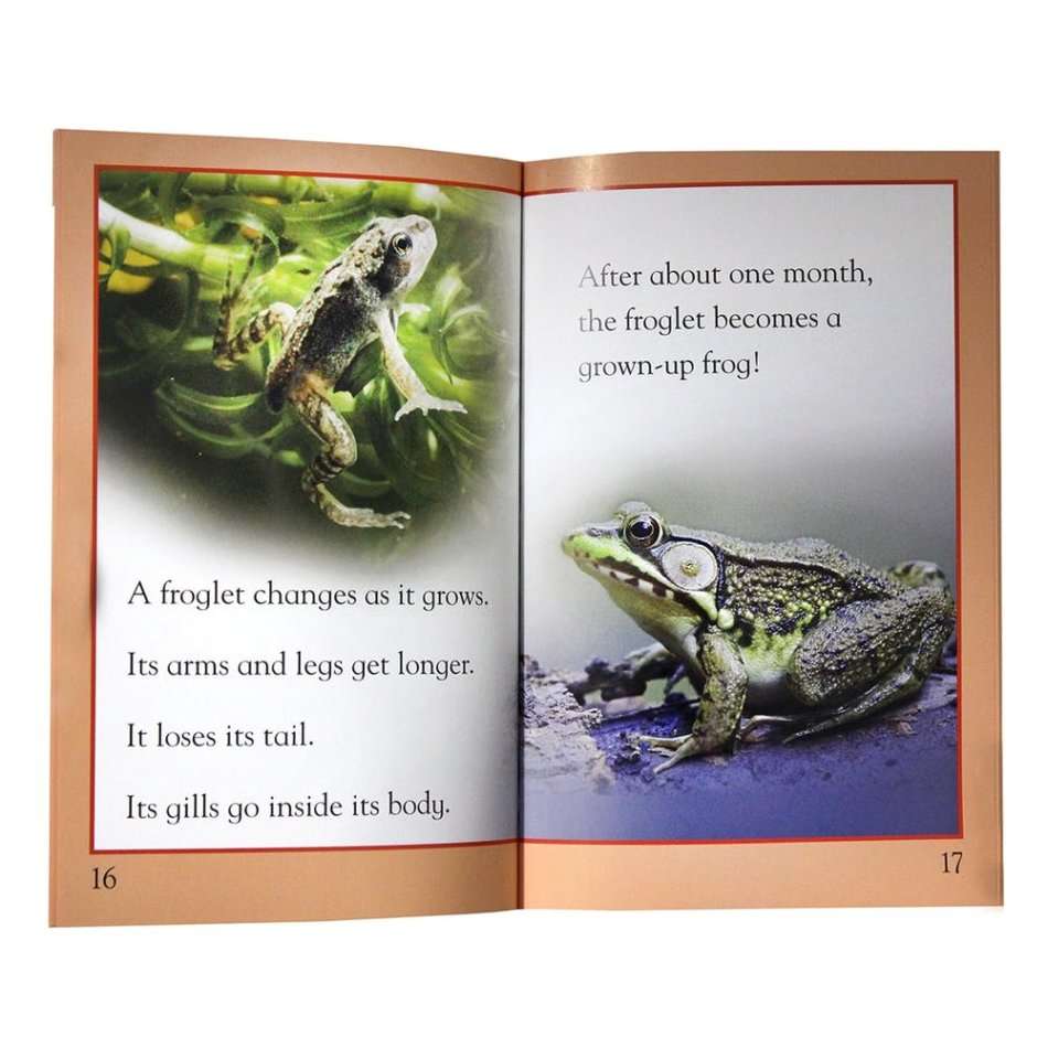 Kingfisher Readers  | Levels 1 to 3 | Book Set