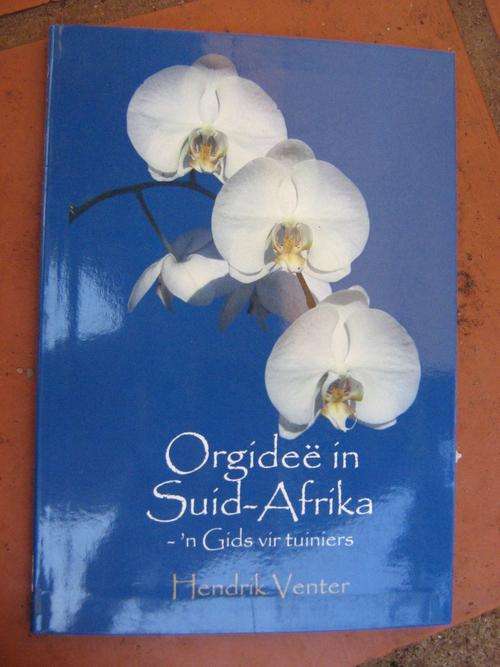 Orgidee in SA
