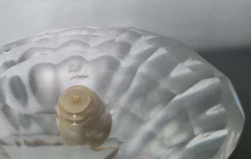 Swarovski crystal oyster and pearl