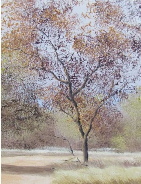 Original Thomas Hacking