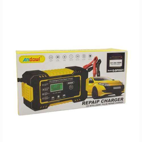 Andowl 12V Intelligent Pulse Repair Charger Q-DP9921