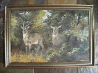 Huge Marie Vermeulen-Breedt oil on canvas on board size 740mm x 490mm