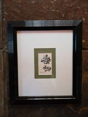 Otto Klar Ink on paper size 10 x 6 cm