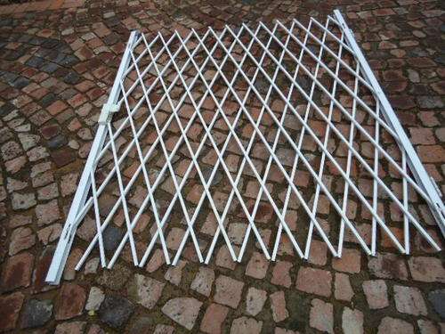 Expanding security Gate