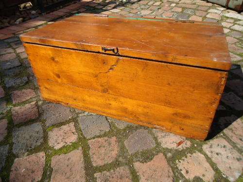 Solid oregan pine trunk