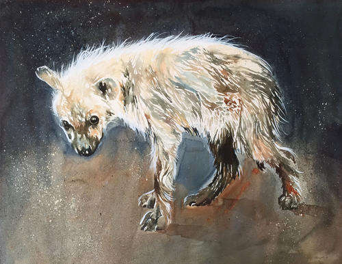 Vintage wildlife watercolour