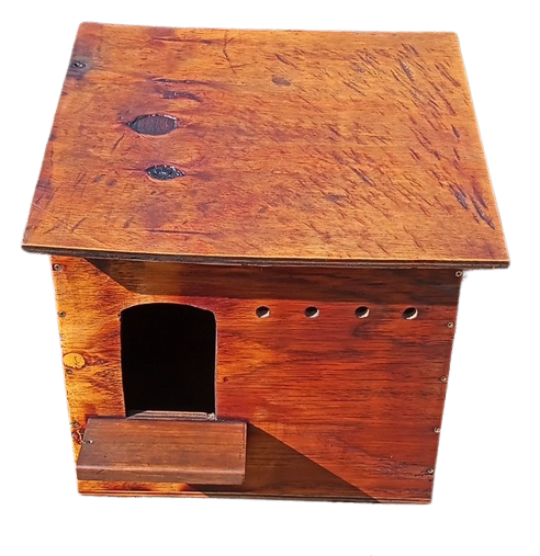 Owl Box for Barn Owl