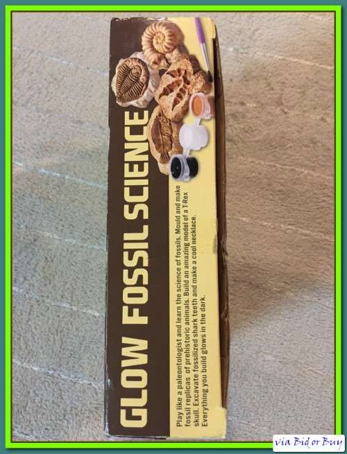 4M - GLOW FOSSIL SCIENCE (NEW)