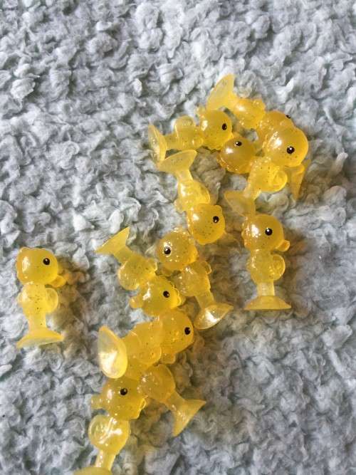 PICK N PAY STIKEEZ CREATURES OF THE DEEP : CEE CEE