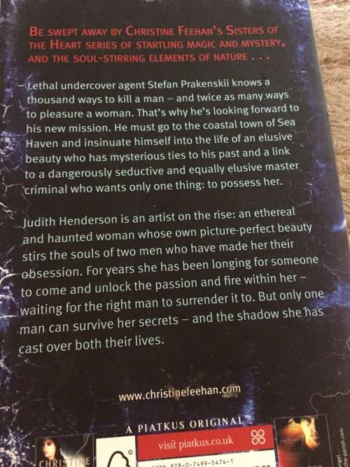 2 X BOOKS (SOFTCOVER) - TURBULENT SEA//SPIRIT BOUND: CHRISTINE FEEHAN (IN MINT CONDITION)