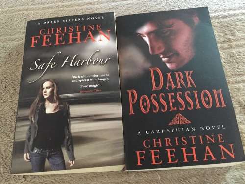 2 X BOOKS (SOFTCOVER) - DARK POSSESSION//SAFE HARBOUR: CHRISTINE FEEHAN (IN MINT CONDITION)
