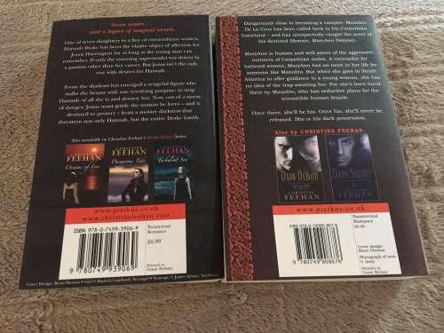 2 X BOOKS (SOFTCOVER) - DARK POSSESSION//SAFE HARBOUR: CHRISTINE FEEHAN (IN MINT CONDITION)