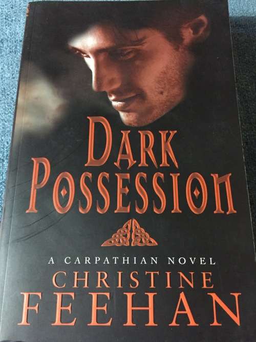 BOOK (SOFTCOVER) - DARK POSSESSION: CHRISTINE FEEHAN