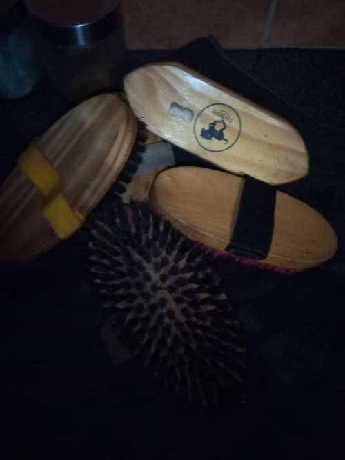 5 x Wooden Grooming Brushes for Horses.