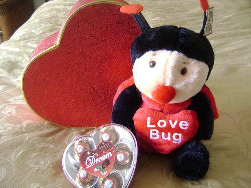 Special Offer! Ultimate Valentines Gift- Large Love Bug(40cm), luxury chocolates in a heart gift Box