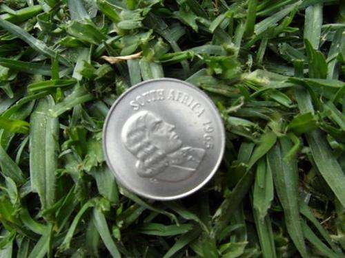 UNC 1965 Afrikaans 20c - Herns Value Proof = R6000