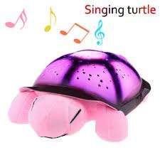 PINK TURTLE NIGHT SKY WITH MUSIC!!!